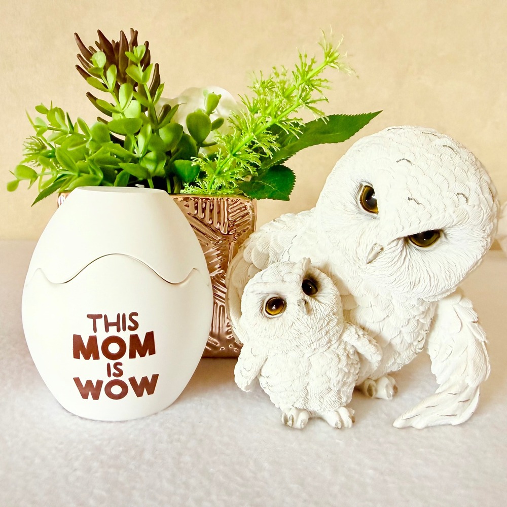Egg Shaped Aromatherapy Candle This Mom Is Wow White Ceramic Cracked Shell Gift